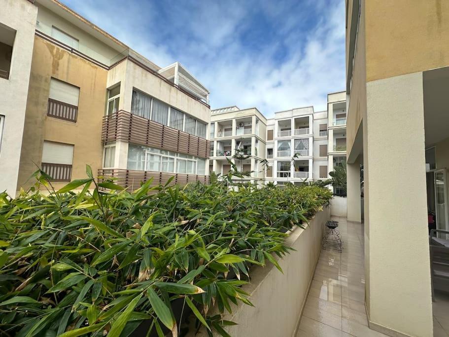 Appartement Mirabelle Buznika Kültér fotó
